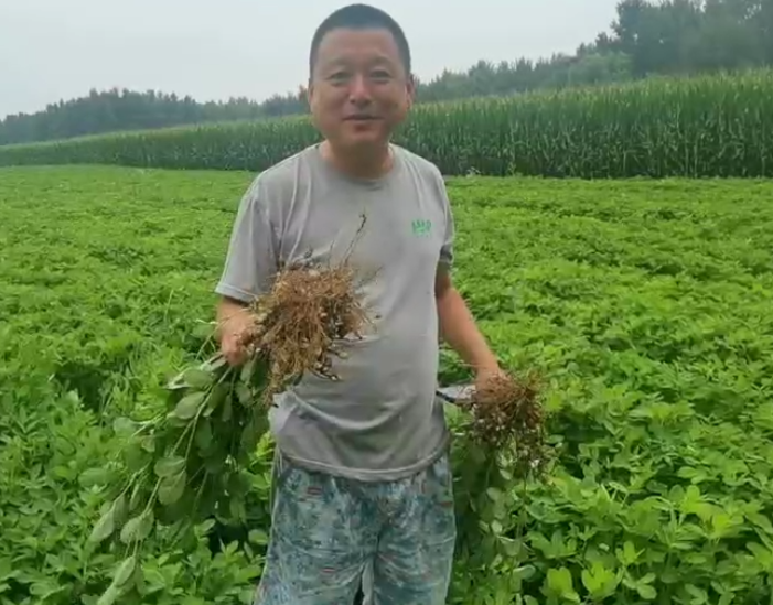旱科威就是讓農(nóng)民多打糧
